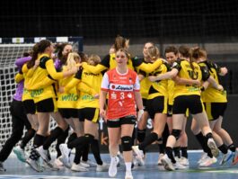 {{brizy_dc_image_alt entityId=