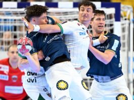 FEDERICO GAMBARINI / dpa Picture-Alliance via AFP