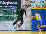 {{brizy_dc_image_alt entityId=