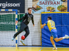 Egill Bjarni Friðjónsson)