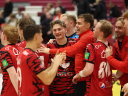 {{brizy_dc_image_alt entityId=