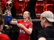 {{brizy_dc_image_alt entityId=