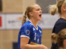 (Kristinn Steinn Traustason)