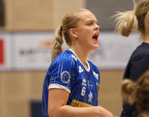 (Kristinn Steinn Traustason)