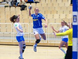 (Kristinn Steinn Traustason)