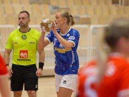 (Kristinn Steinn Traustason)