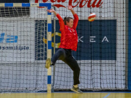 {{brizy_dc_image_alt entityId=