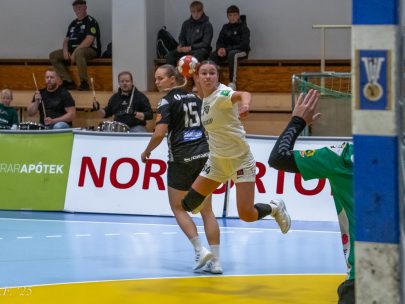 Egill Bjarni Friðjónsson)