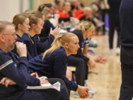 {{brizy_dc_image_alt entityId=