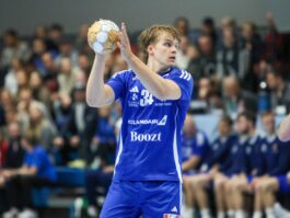 (Kristinn Steinn Traustason)