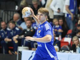 (Kristinn Steinn Traustason)