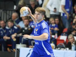 {{brizy_dc_image_alt entityId=