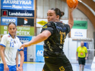 Egill Bjarni Friðjónsson)