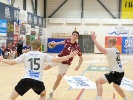 {{brizy_dc_image_alt entityId=