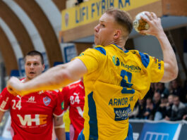 (Egill Bjarni Friðjónsson)