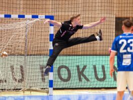 Kristinn Steinn Traustason)