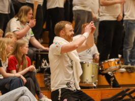 (Kristinn Steinn Traustason)