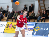 {{brizy_dc_image_alt entityId=