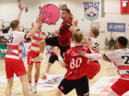 {{brizy_dc_image_alt entityId=