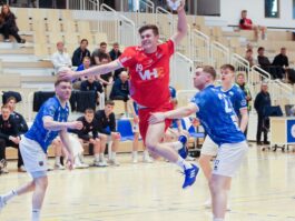 (Kristinn Steinn Traustason)