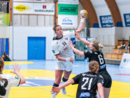 {{brizy_dc_image_alt entityId=