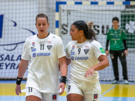 Egill Bjarni Friðjónsson)