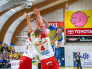 {{brizy_dc_image_alt entityId=