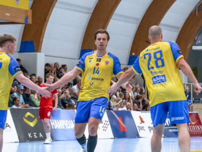 {{brizy_dc_image_alt entityId=