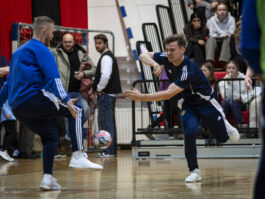 {{brizy_dc_image_alt entityId=