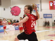 {{brizy_dc_image_alt entityId=