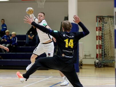 Eyjólfur Garðarsson)