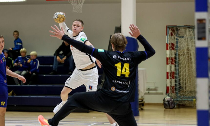 Eyjólfur Garðarsson)