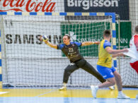 {{brizy_dc_image_alt entityId=