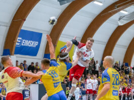 {{brizy_dc_image_alt entityId=