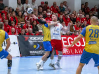 Egill Bjarni Friðjónsson)