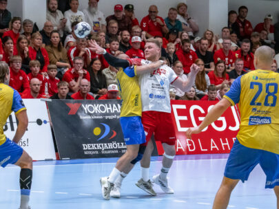 Egill Bjarni Friðjónsson)