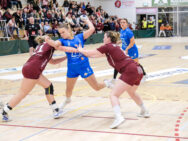 {{brizy_dc_image_alt entityId=