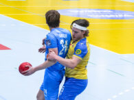 {{brizy_dc_image_alt entityId=