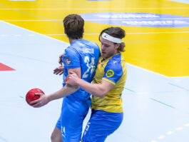 {{brizy_dc_image_alt entityId=