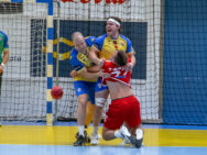 {{brizy_dc_image_alt entityId=