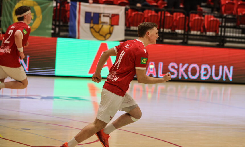 (Baldur Þorgilsson)