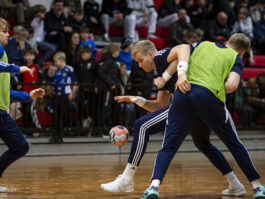 {{brizy_dc_image_alt entityId=