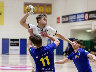 (Eyjólfur Garðarsson)