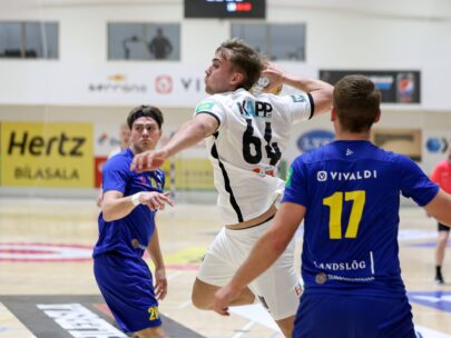 (Eyjólfur Garðarsson)
