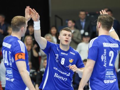 (Kristinn Steinn Traustason)