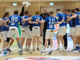 {{brizy_dc_image_alt entityId=