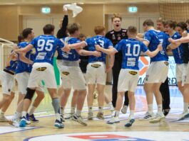 (Kristinn Steinn Traustason)
