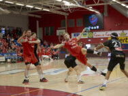 {{brizy_dc_image_alt entityId=