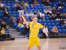 {{brizy_dc_image_alt entityId=