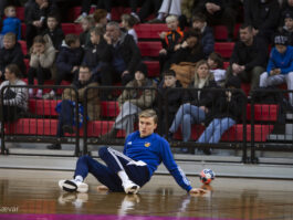 {{brizy_dc_image_alt entityId=